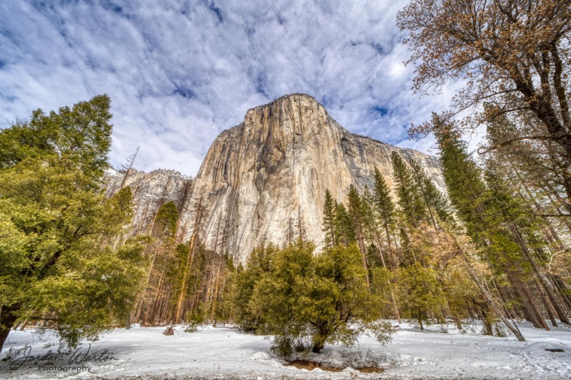 1_Yosemite_2019-19